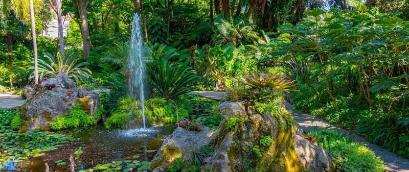 La Mortella Gardens excursion from Ischia - Assessing the value