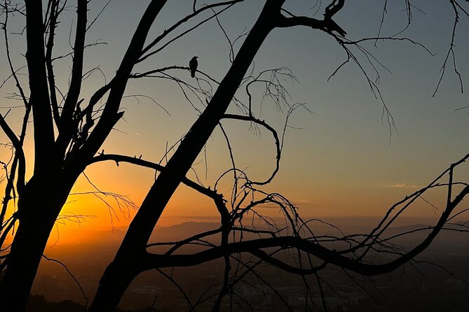 LA Night Hikers - Traveler Photos