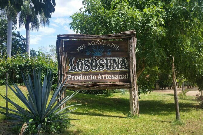 La Noria Village and Los Osuna Tequila Experience. - Good To Know