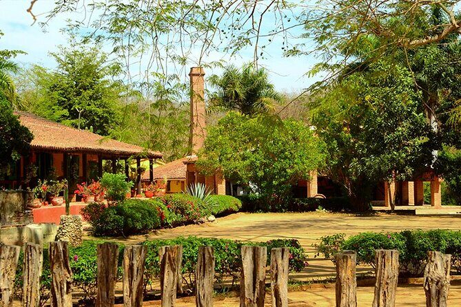 La Noria Village and Los Osuna Tequila Experience. - A Detailed Look at the La Noria Village and Los Osuna Tequila Tour
