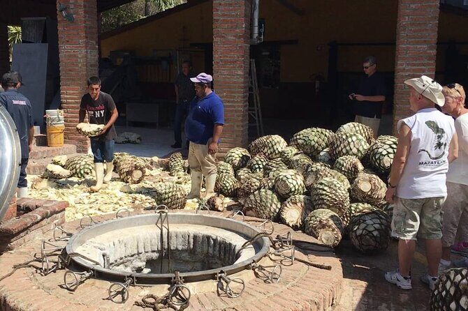 La Noria Village and Los Osuna Tequila Experience. - Final Thoughts: Is This Tour Worth It?
