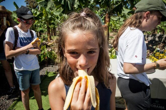 La Orotava: Ecological Banana Plantation Guided Tour - Inclusions