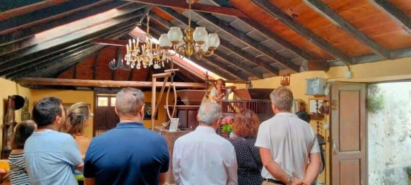 La Orotava: Guided Tour With Gofio Tasting, the Mills of the Villa - Good To Know