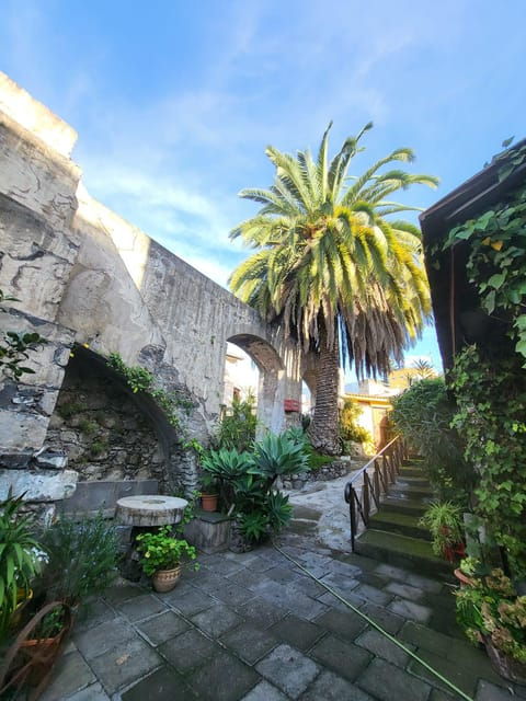 La Orotava: Guided Tour With Gofio Tasting, the Mills of the Villa - Highlights of the Guided Tour