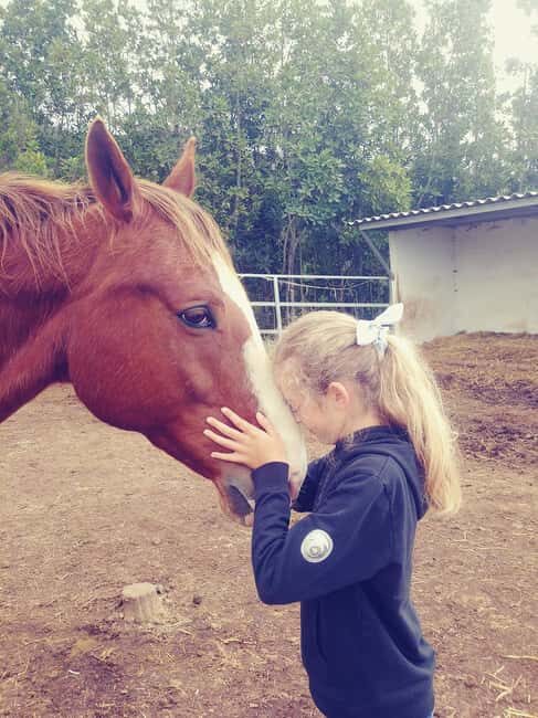 La Orotava: Workshop "Natural Horsemanship" and Permaculture - Introduction: What makes this experience special?