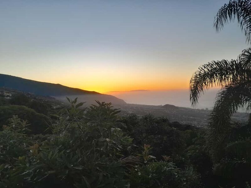 La Orotava: Workshop "Natural Horsemanship" and Permaculture - What Past Participants Say