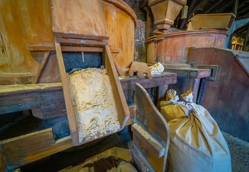 La Orotava:Casa de los Balcones & Molino del Hoyo Gofio Mill - Who Will Love This Experience?