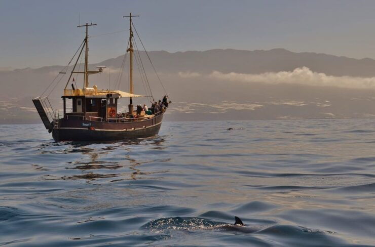 La Palma: 4-Hour Coastline Cruise With Tapas and Barbecue - Itinerary and Activities