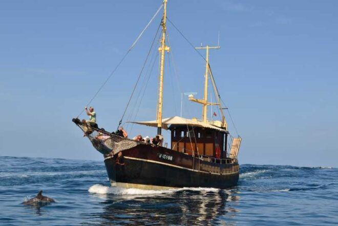 La Palma: 4-Hour Coastline Cruise With Tapas and Barbecue - Inclusions
