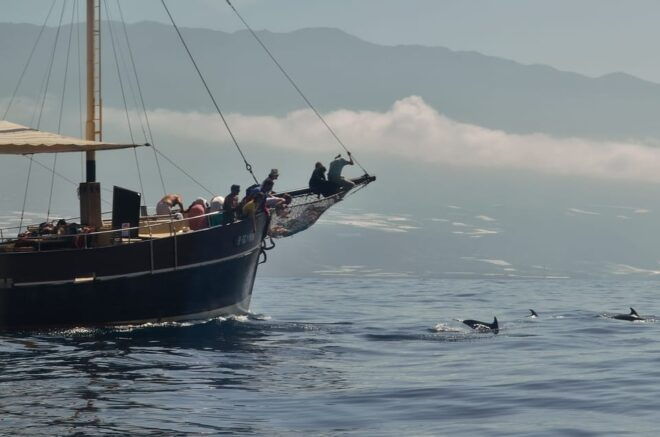 La Palma: 4-Hour Coastline Cruise With Tapas and Barbecue - Meeting Point and Logistics