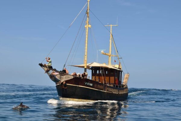 La Palma: 4-Hour Coastline Cruise With Tapas and Barbecue - Cancellation Policy