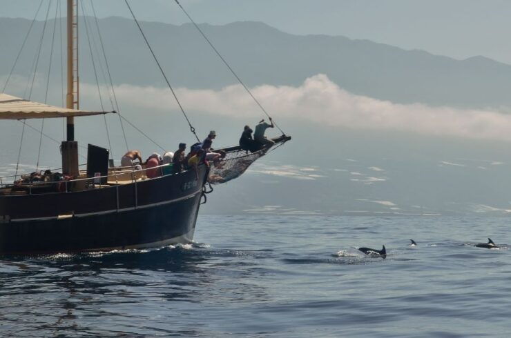 La Palma: 4-Hour Coastline Cruise With Tapas and Barbecue - Activity Details