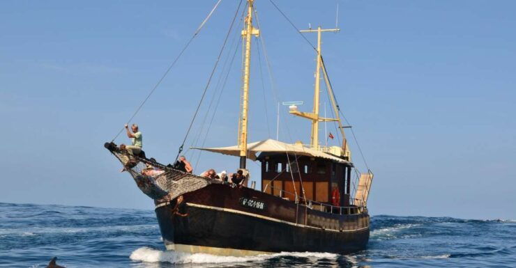 La Palma: 4-Hour Coastline Cruise With Tapas and Barbecue - Languages Spoken