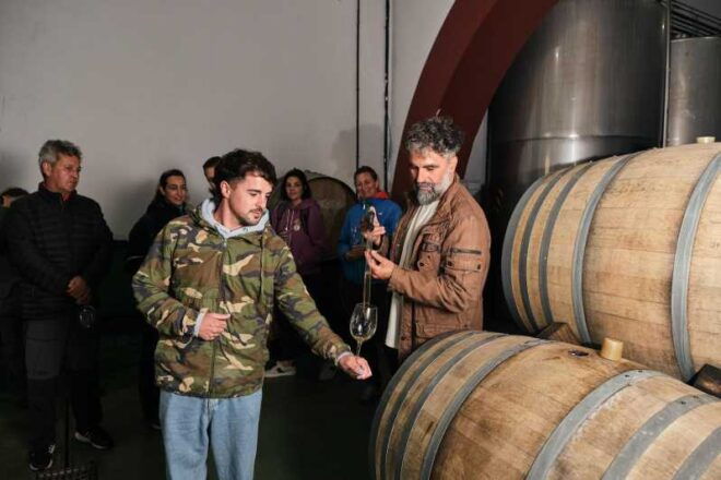 La Palma: Bodegas Teneguia Winery Tour With Wine Tasting - Viniculture in Volcanic Soil