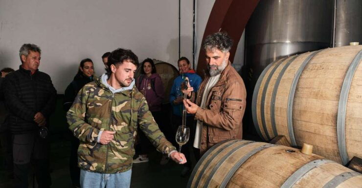 La Palma: Bodegas Teneguia Winery Tour With Wine Tasting - Activity Highlights