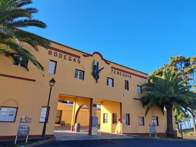 La Palma: Bodegas Teneguia Winery Tour With Wine Tasting - Wine Tasting Experience