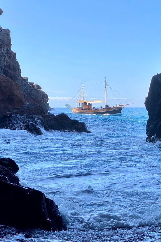 La Palma: Bussard Premium Tour Marine Biology & Nature - Good To Know