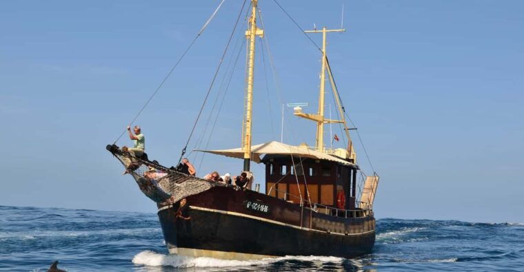La Palma: Bussard Premium Tour Marine Biology & Nature - Marine Biology and Conservation