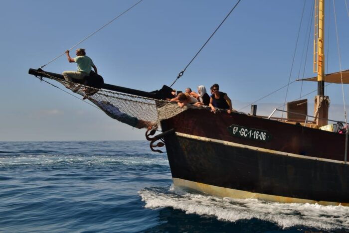 La Palma: Bussard Premium Tour Marine Biology & Nature - Geological Insights: The New Lava Delta