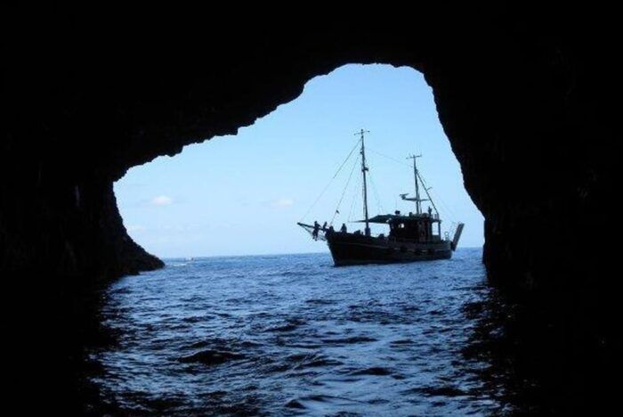 La Palma: Bussard Premium Tour Marine Biology & Nature - Guest Logistics and Recommendations