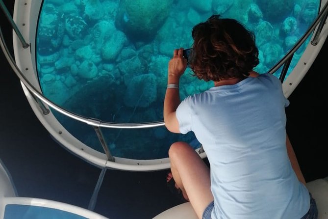 La Palma Dolphin and Whale Cruise - Overview and Itinerary
