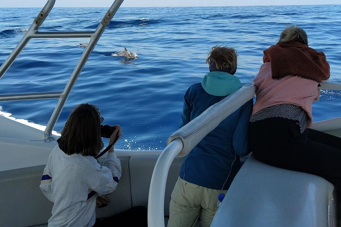 La Palma Dolphin and Whale Cruise - Common Questions