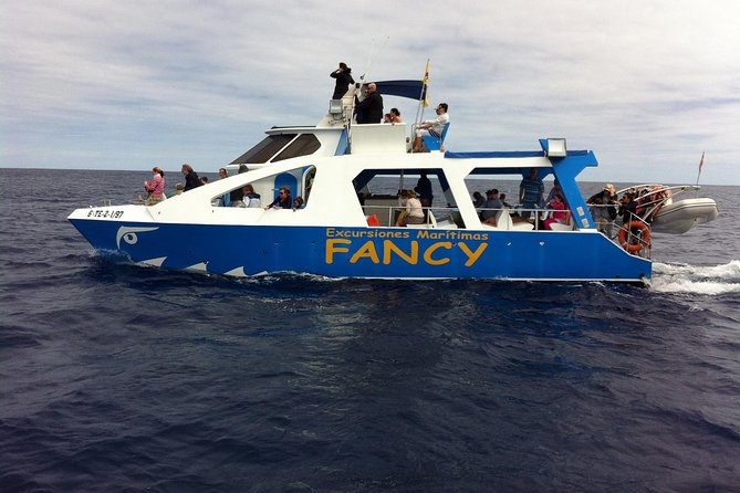 La Palma Dolphin and Whale Cruise - The Sum Up