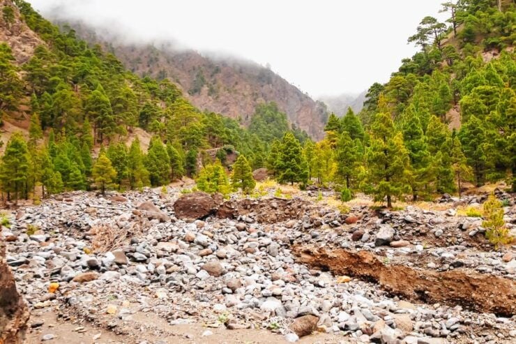 La Palma: Guided Hike in Caldera De Taburiente National Park - Booking and Logistics