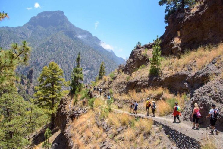 La Palma: Guided Hike in Caldera De Taburiente National Park - Experience and Highlights