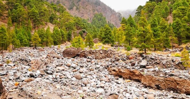 La Palma: Guided Hike in Caldera De Taburiente National Park - Inclusions