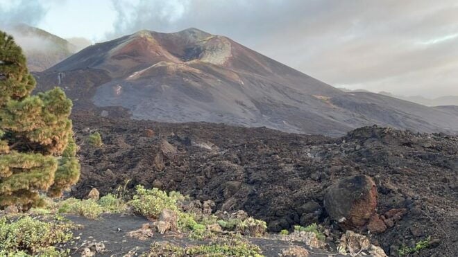 La Palma: Guided Tour to the New Tajogaite Volcano Transfer - Additional Information