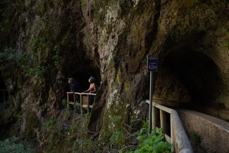 La Palma: Guided Trekking Tour Springs Marcos and Cordero - Good To Know