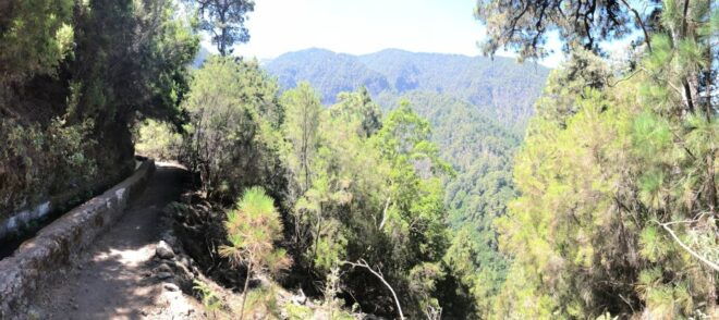 La Palma: Guided Trekking Tour Springs Marcos and Cordero - Tour Highlights