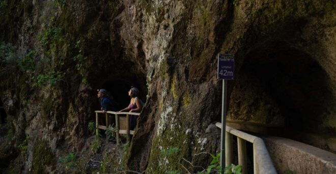 La Palma: Guided Trekking Tour Springs Marcos and Cordero - Cancellation Policy