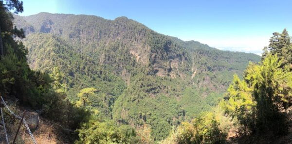 La Palma: Guided Trekking Tour Springs Marcos and Cordero - Reviews and Recommendations