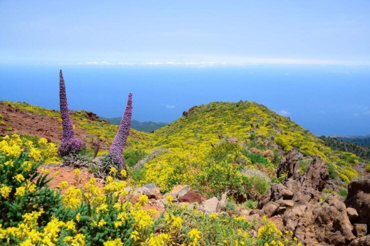 La Palma: Guided Trekking Tour to El Roque De Los Muchachos - Experience Highlights