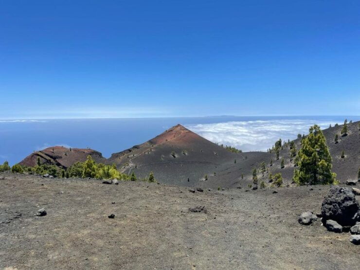 La Palma: Guided Trekking Tour to Volcanoes South - Experience the Incredible Volcanic Hike