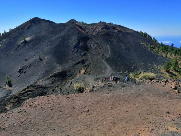 La Palma: Guided Trekking Tour to Volcanoes South - Explore the Volcanic Landscape Up Close