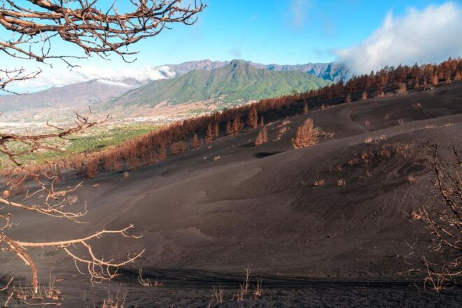 La Palma: Guided Volcano Trekking Tour - Review Summary