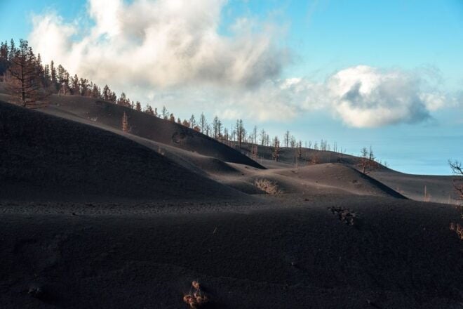 La Palma: Guided Volcano Trekking Tour - Highlights of the Guided Volcano Trekking Tour