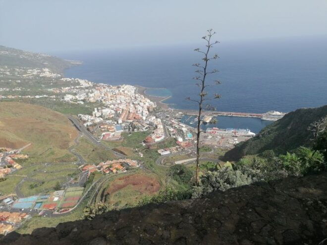 La Palma: Island Highlights Guided Bus Tour - Customer Reviews and Feedback