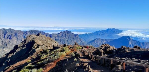La Palma: Island Highlights Guided Bus Tour - Common Questions