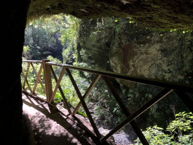 La Palma: North Island Bus Tour With Ron Aldea Distillery - Additional Information