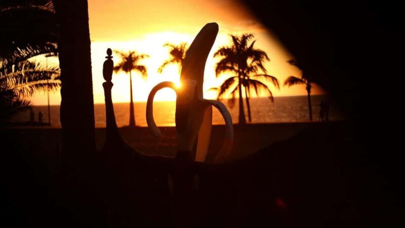 La Palma: PlatanoLógico Edible Forest Tour - Why This Tour Offers Great Value