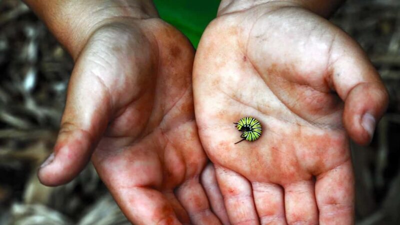 La Palma: PlatanoLógico Edible Forest Tour - Who Will Love This Experience?