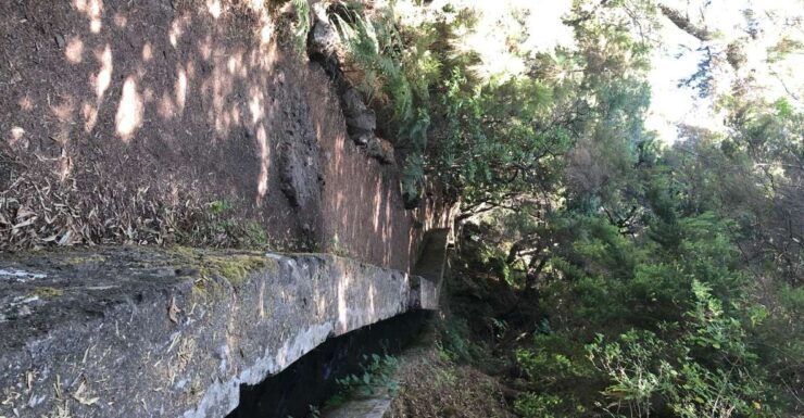 La Palma: Return by Bus to the Marcos and Cordero Spring - Activity Details