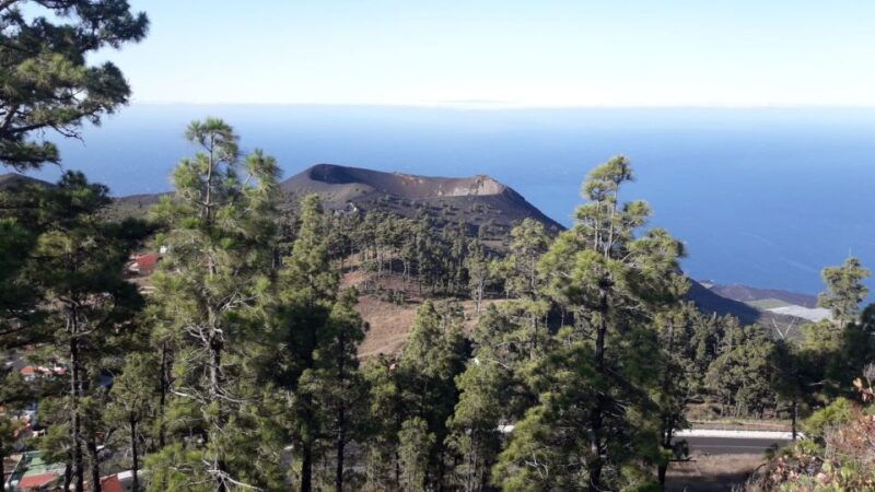 La Palma: San Antonio and Teneguia Volcanoes Tour by 4x4 Bus - Tour Highlights