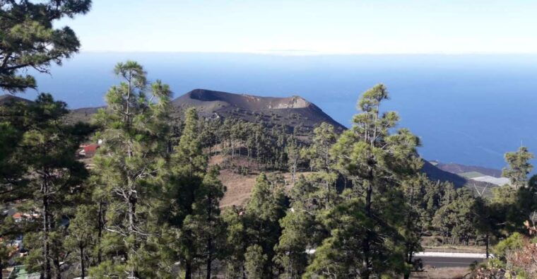 La Palma: San Antonio and Teneguia Volcanoes Tour by 4x4 Bus - Booking Information