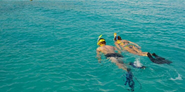 La Palma : Snorkeling Tour in Los Cancajos - Tour Details