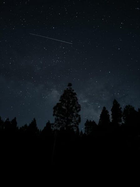 La Palma: Stargazing in the Best Sky in the World - Customer Feedback